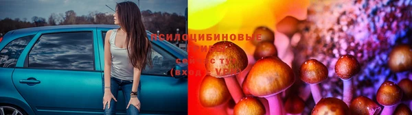 apvp Мегион