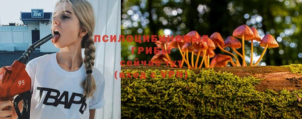 2c-b Медвежьегорск