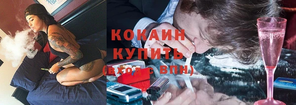 молекула духа Заводоуковск