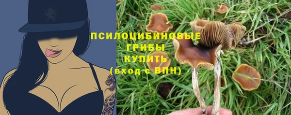 ПСИЛОЦИБИНОВЫЕ ГРИБЫ Заволжск