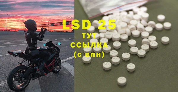 ПСИЛОЦИБИНОВЫЕ ГРИБЫ Заволжск