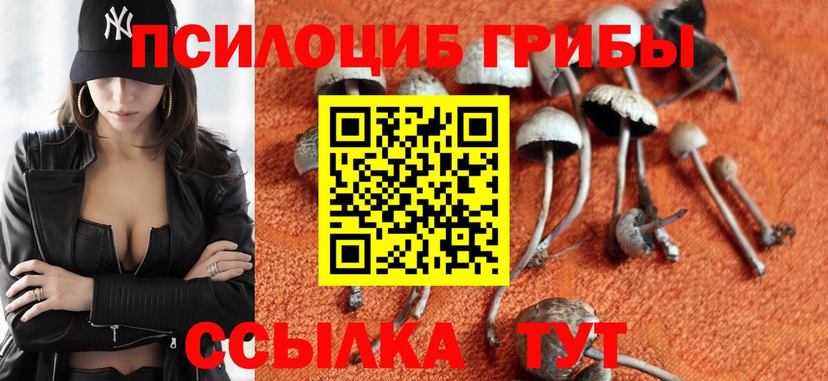 Псилоцибиновые грибы GOLDEN TEACHER Россия