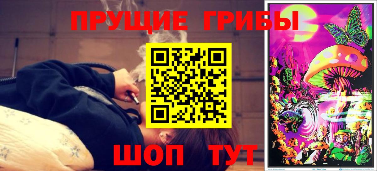 Галлюциногенные грибы GOLDEN TEACHER  дарнет шоп  Россия  Вход с VPN 