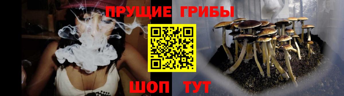 Галлюциногенные грибы прущие грибы  Россия 